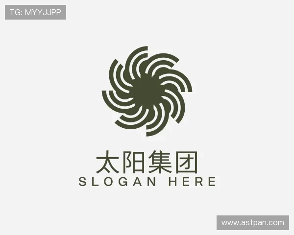解读sungroup官网